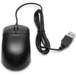 Mouse DVR